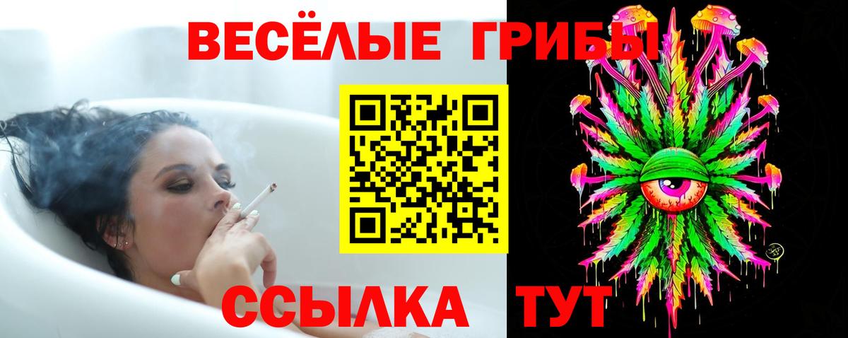 Галлюциногенные грибы MAGIC MUSHROOMS  Вход с VPN  Орск 